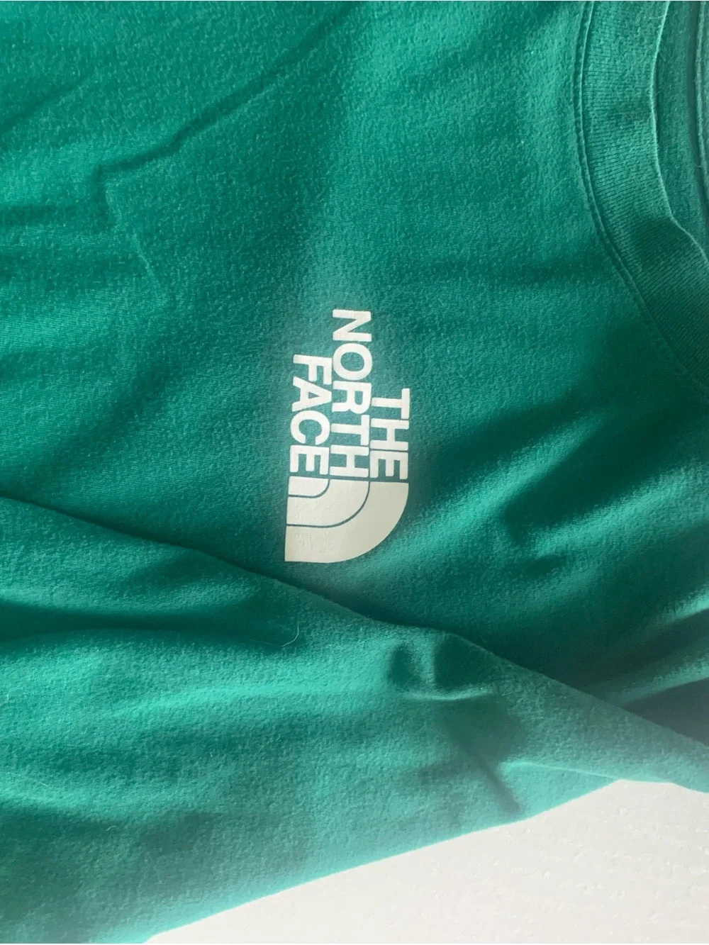 The North Face Teal Graphic Logo men’s medium
